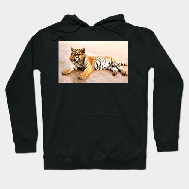 Tiger Cub Lying Down, Thailand Hoodie by Carole-Anne